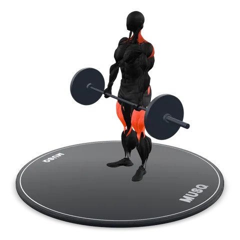 Deadlift 3D model