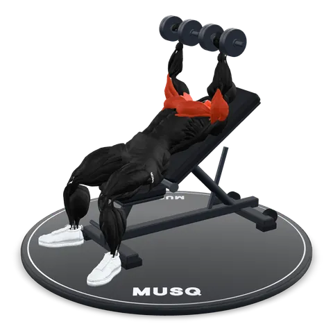 Incline Dumbbell Press 3D model
