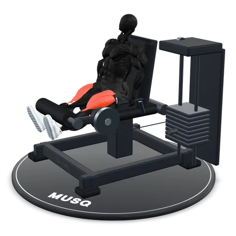 Leg Extension 3D model