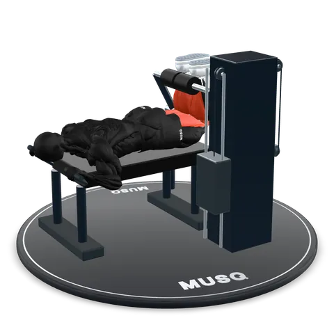 Lying Leg Curl 3D model