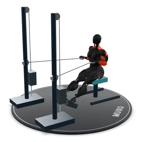 Seated Cable Row 3D model